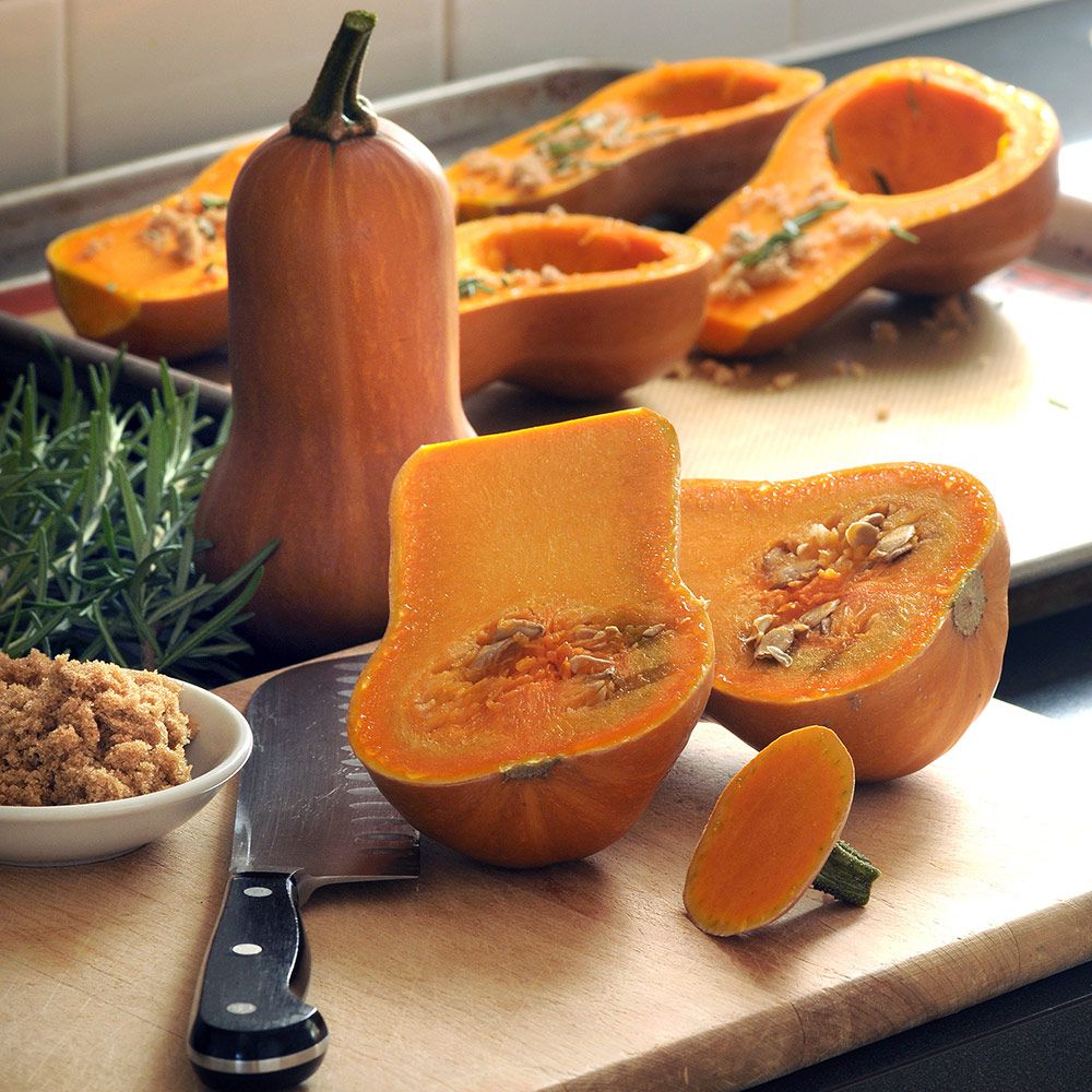 Butternut Squash Honey Nut White Flower Farm