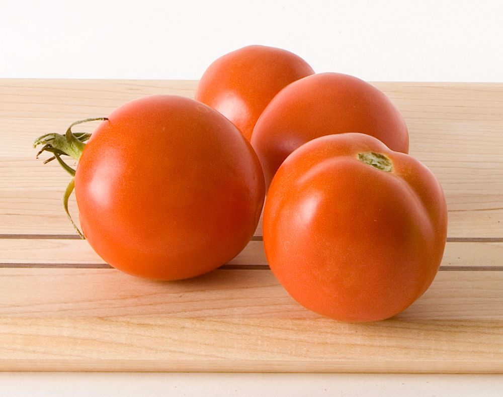 Tomato 'Iron Lady' White Flower Farm