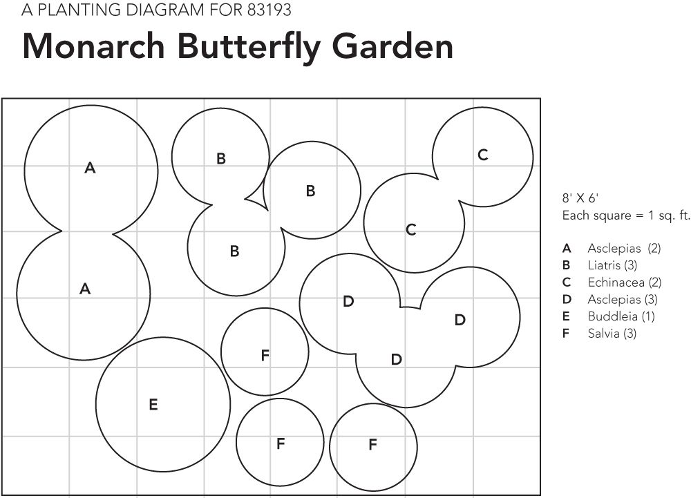 Monarch Butterfly Perennial Garden White Flower Farm