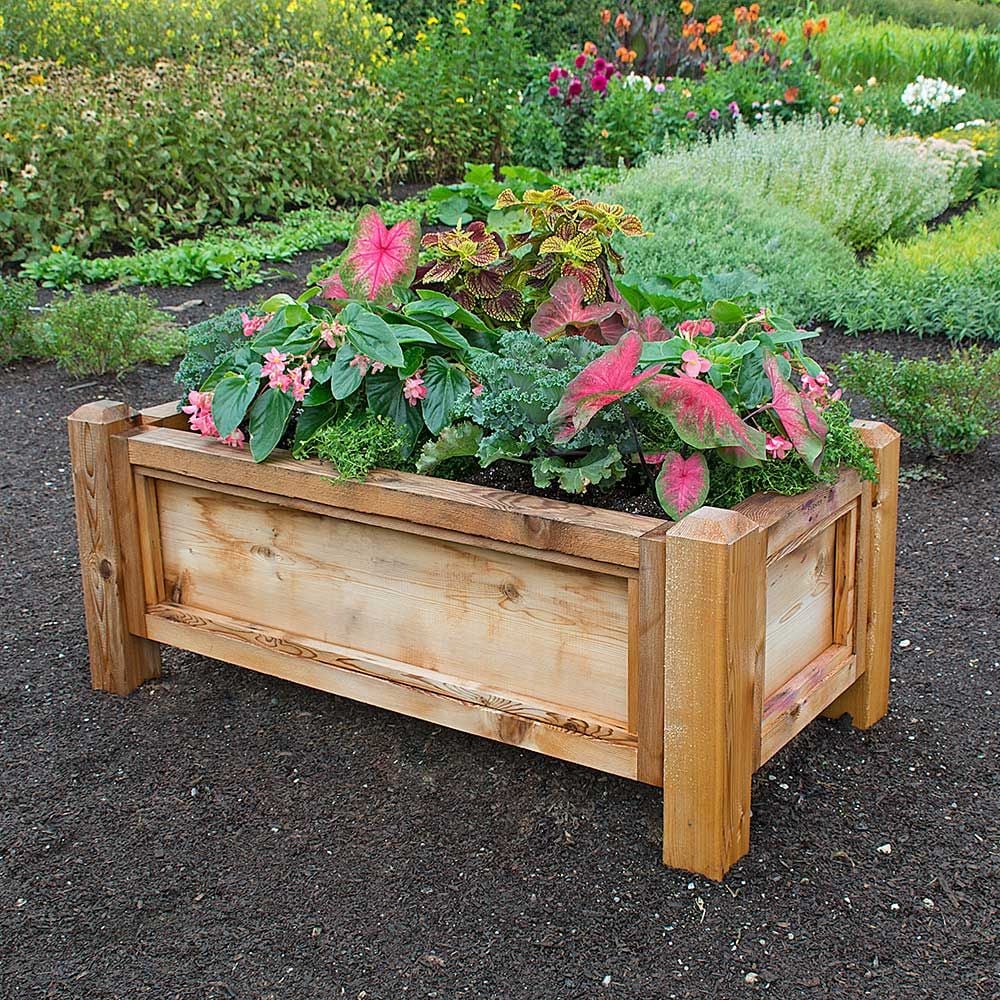 French Raised Bed, 48" long x 24" wide White Flower Farm