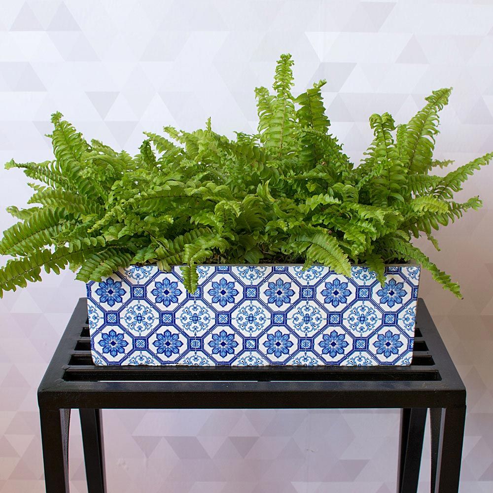 Compact Boston Fern in ceramic planter White Flower Farm