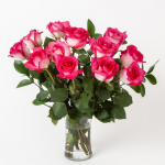  Pink Bicolor Rose Bouquet - 12 stems