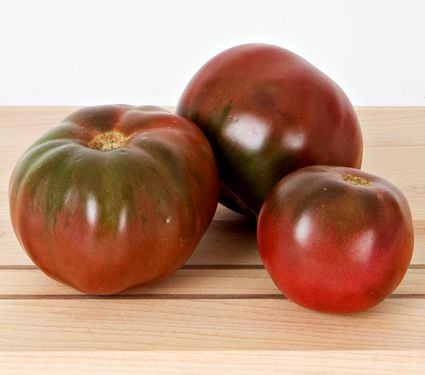 Tomato 'Pierce's Pride'