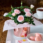  Rosaroma® Rose in rose gold cachepot