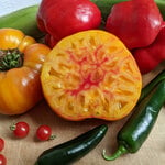 New Tomato Varieties