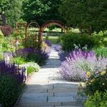 <strong>Saturday, June 8 - 12:00 p.m. - 1:30 p.m., rain or shine</strong> Guided Garden Tour & Turkey Wrap Bagged Lunch