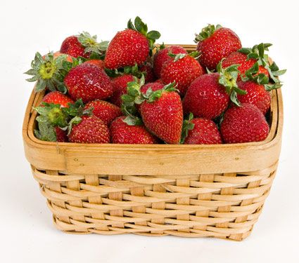 Strawberry Earliglow