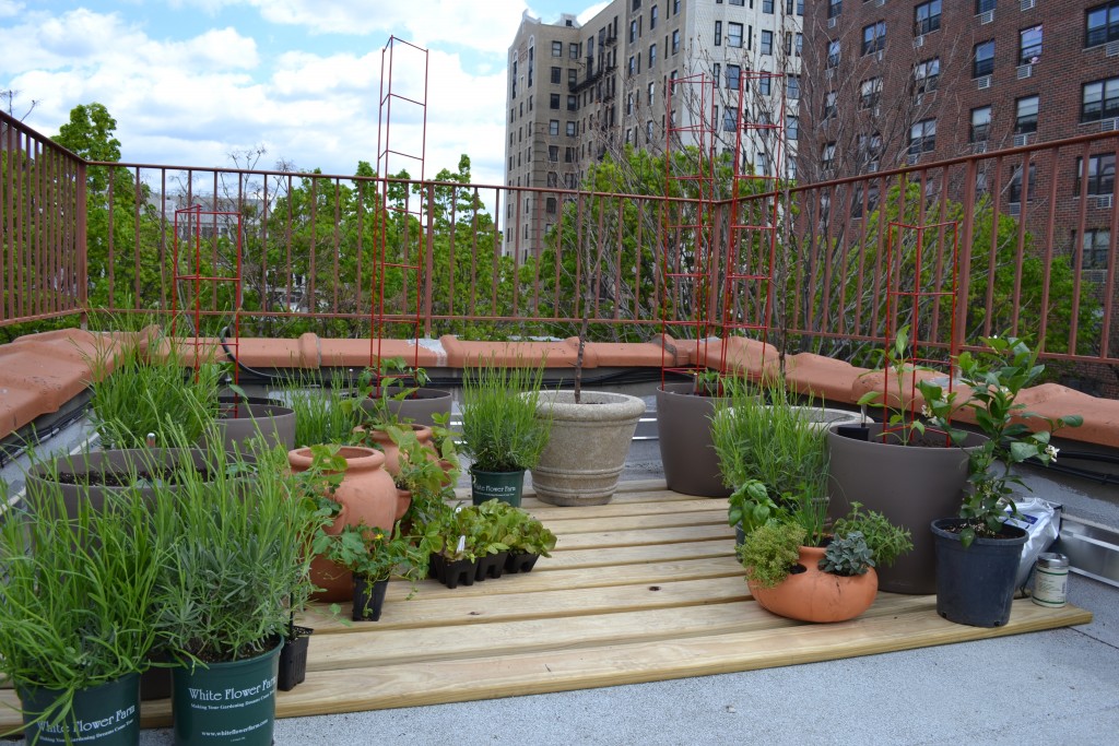 pots on roof