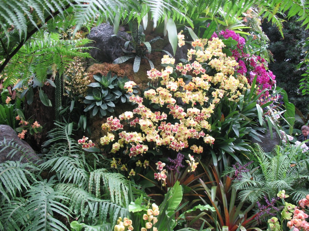 nybg_Show designer Christian Primeau has layered plantings to great effect, combining orchids with bromeliads, fern