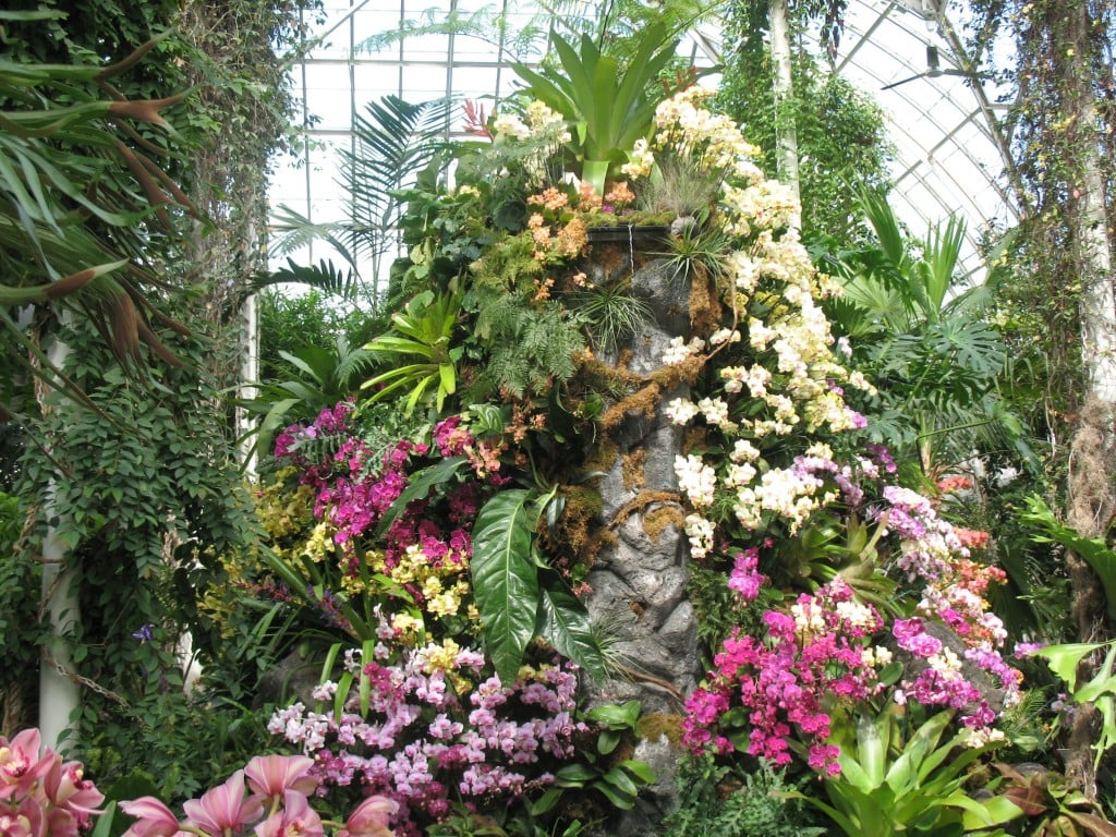 nybg_The centerpiece of the 'Orchidelirum' show is a recreation of a mountain of volcanic rock, complete with%2