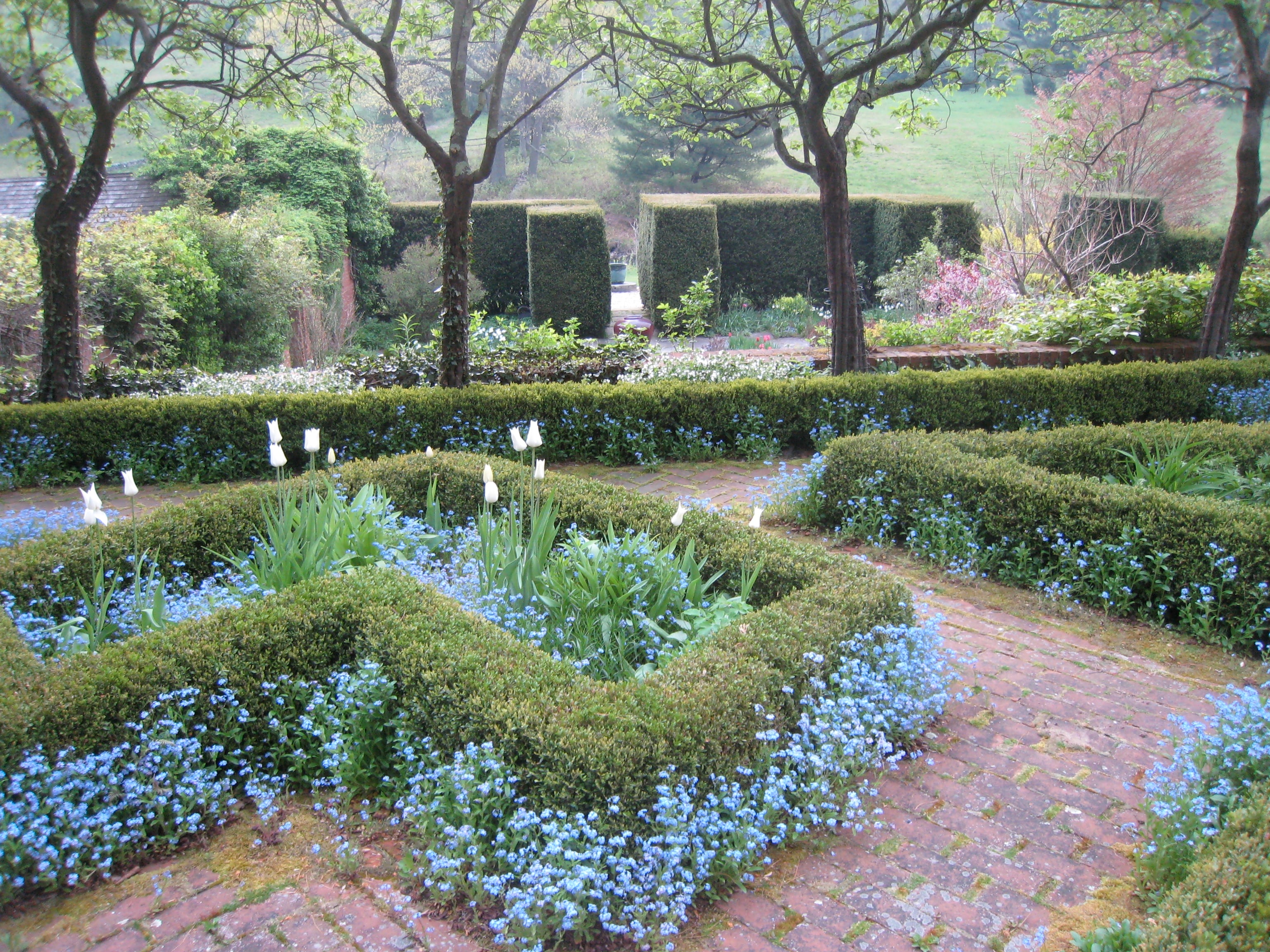 hollister house garden_The Grey Garden in May