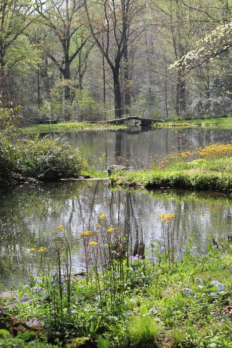 A scene fit for Monet at Mt. Cuba.