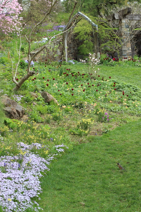 Looking towards the "ruins" at Chanticleer