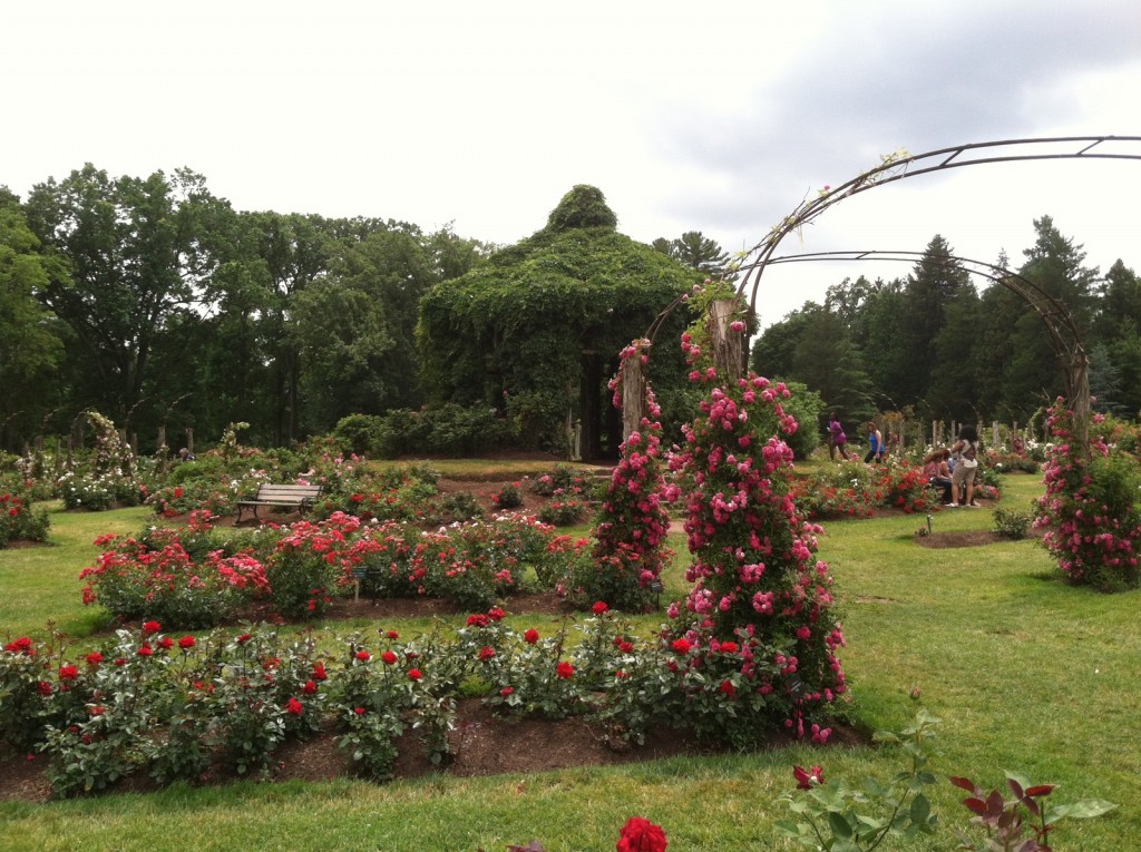 2. The Elizabeth Park gazebo was originally built in 1904 and reconstructed in 2005 using red cedar and the