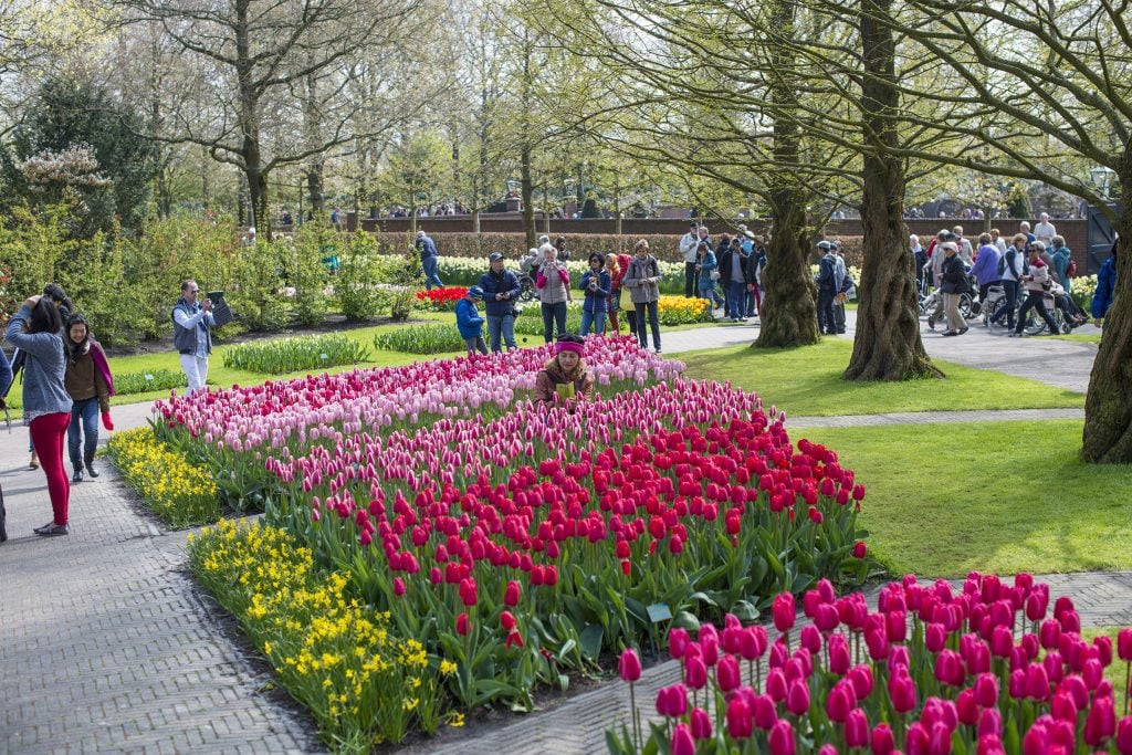 Fluwel Mix at Keukenhof