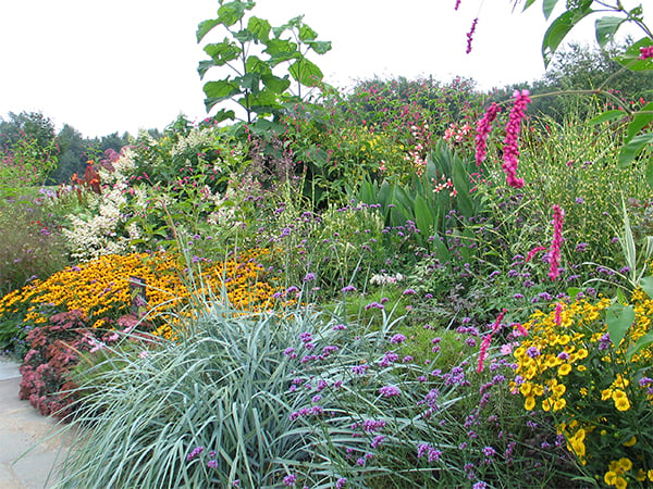 White Flower Farm's Lloyd Border