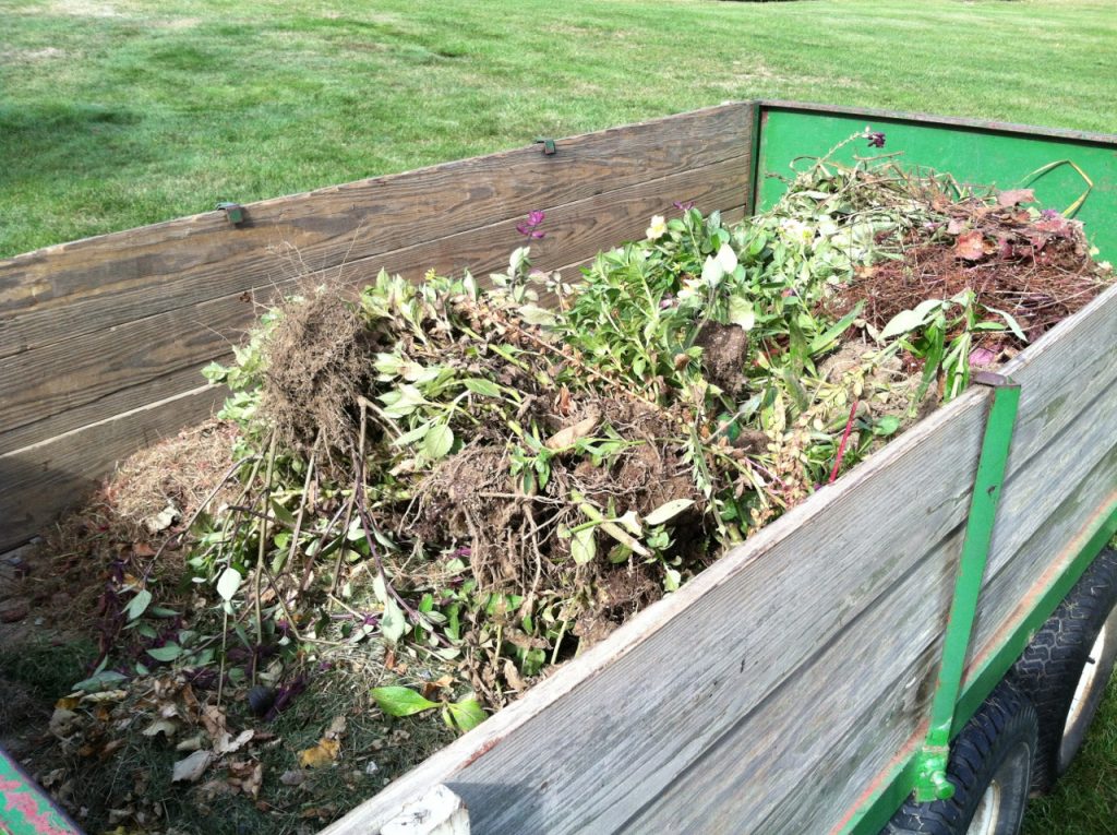 The garden staff is busy cleaning and carting away spent annuals, and the foliage and faded blossoms of some perennials and shrubs.