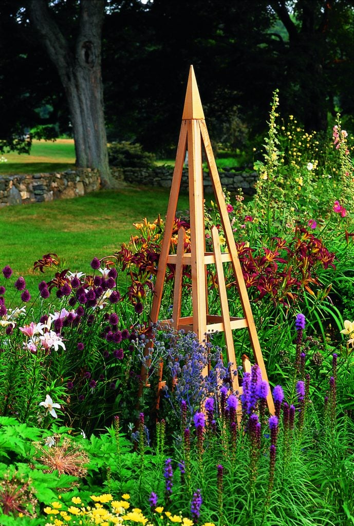 Cedar Tuteur