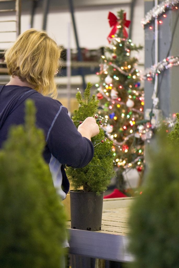 Christmas Tree Department, decorating, wff elves