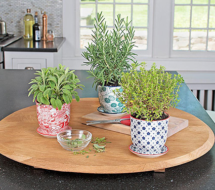 Porcelain Pot & Saucer Trio