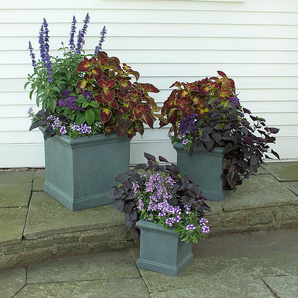 Tremont Square Pots