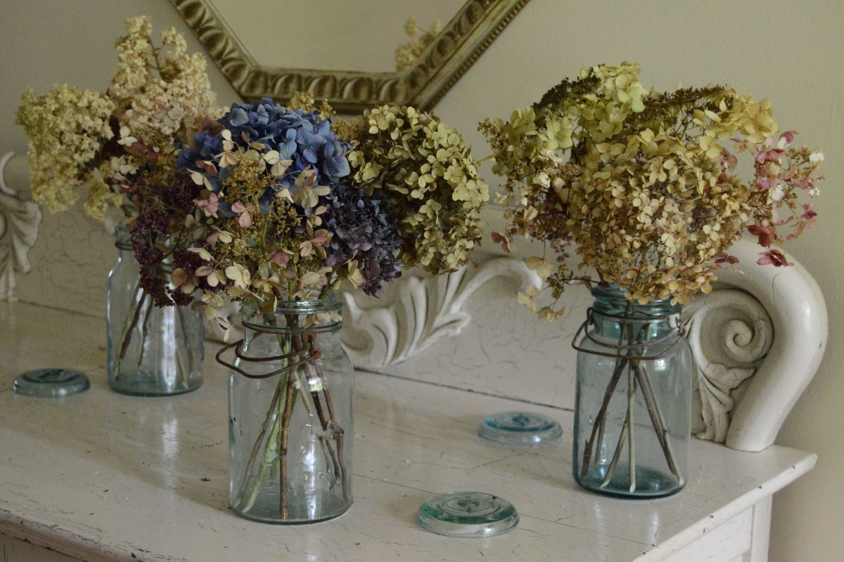 3 Steps To Drying Hydrangea