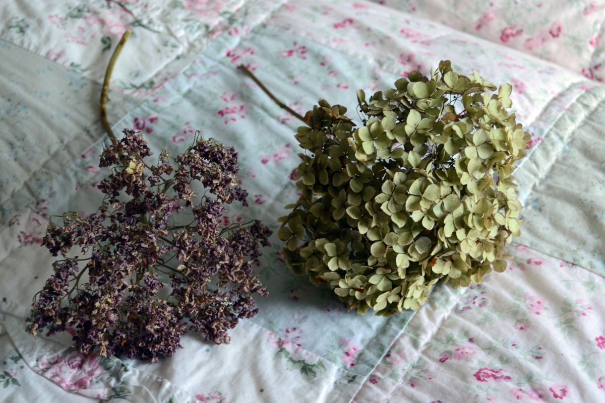 How to Dry and Preserver Hydrangea Flowers – Creative Living with Bren Haas