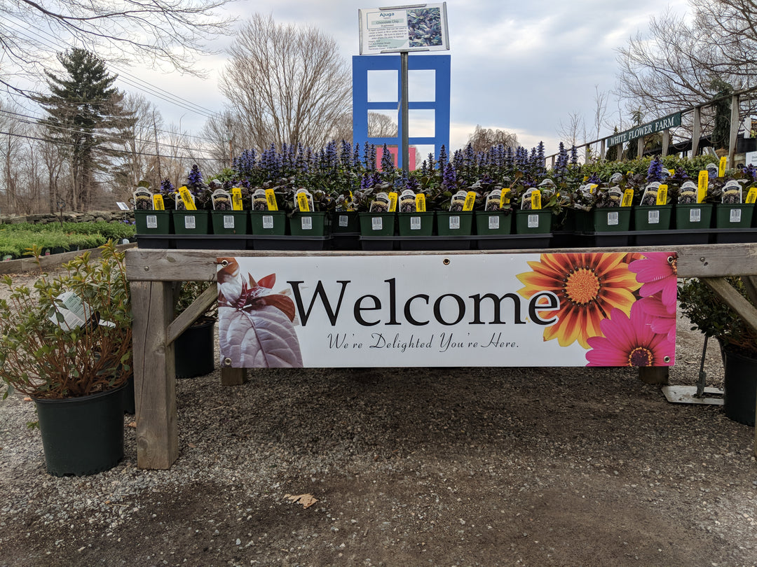 The Store Is Open!