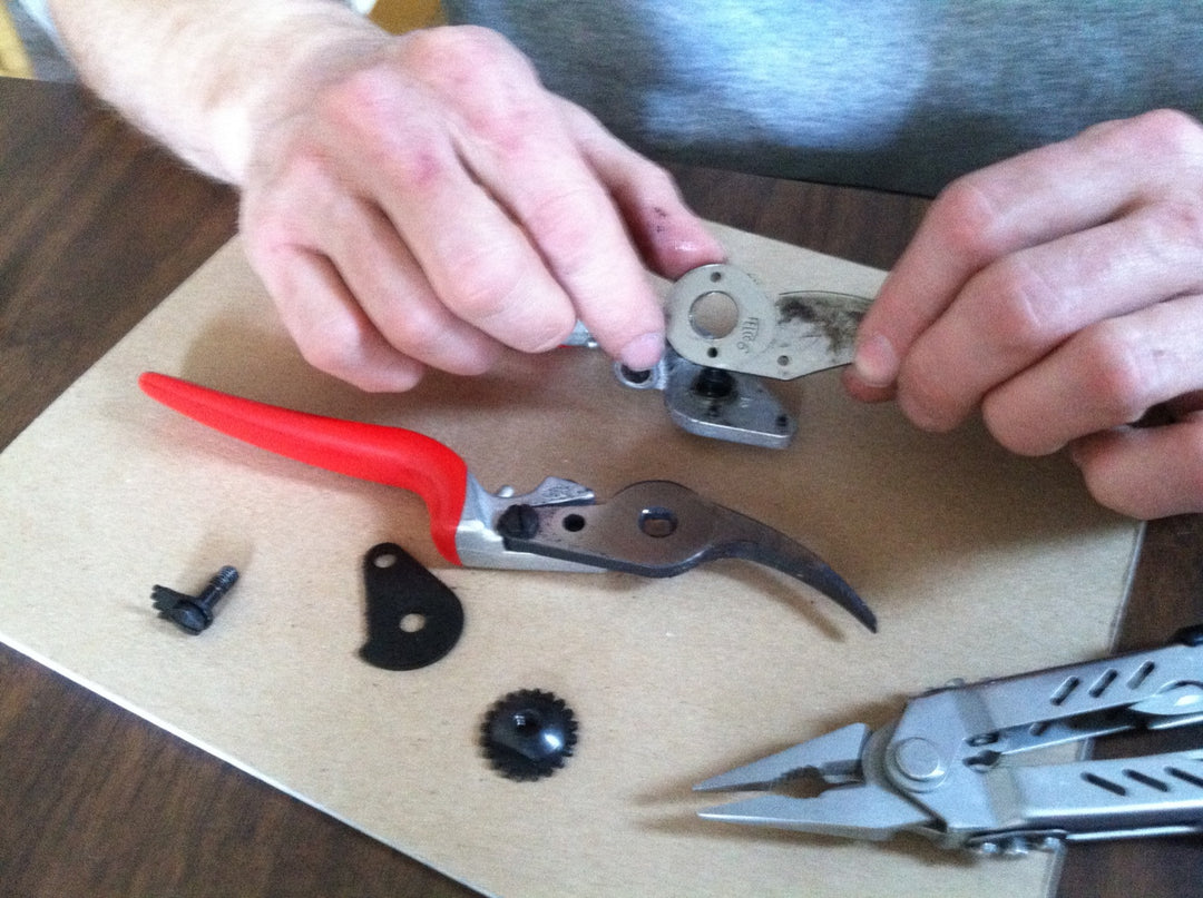 Cleaning & Sharpening Your Pruners