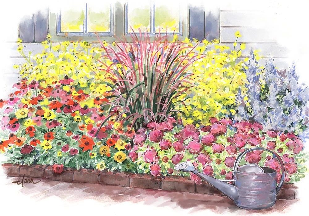 Late Season Perennial Garden