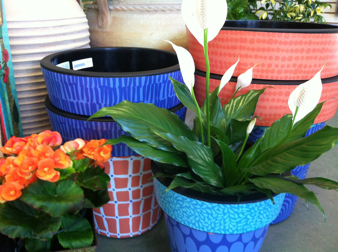 The Store Is Open for the Season!