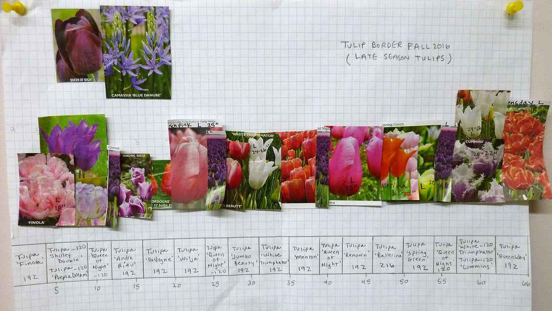Bulb Planting Planning