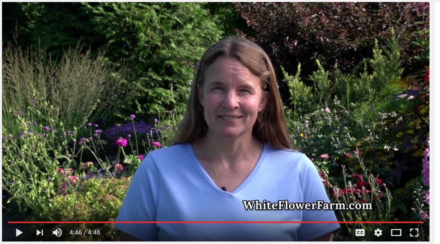 Tour the Lloyd Border With Our Head Gardener