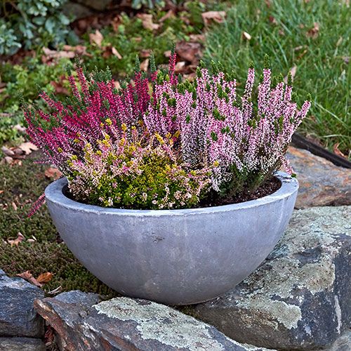 Decorate for Fall with Our New Container Collections