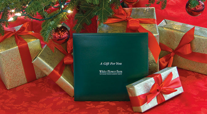 Our Top Garden Gifts