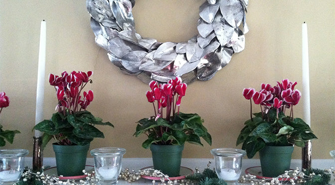 Quick Decorating Ideas for the Holidays!