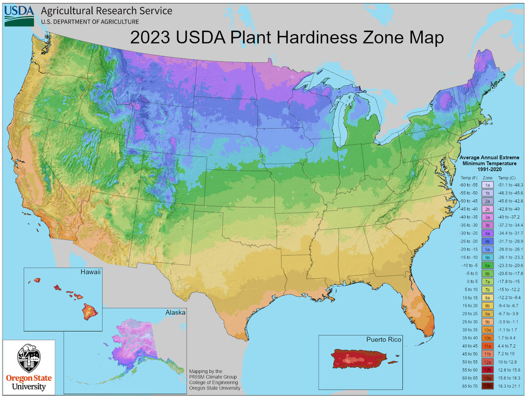 2023 USDA Plant Hardiness Zone Map