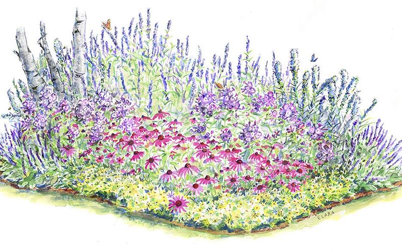 Plants for Pollinators
