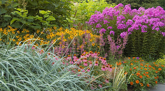 The Art of Gardening: Successful Plant Combinations