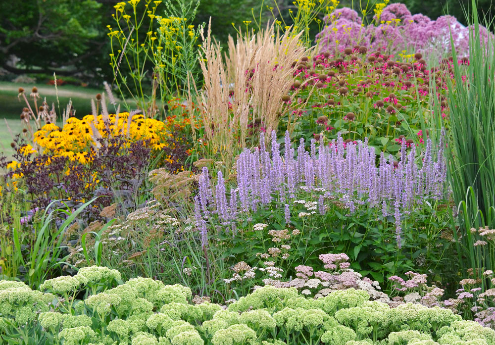 Gardening for Resilience in a Time of Climate Change