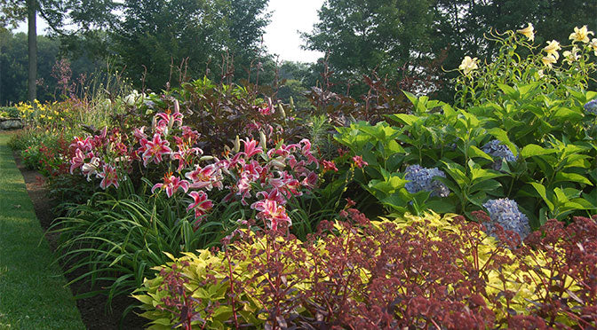 What’s Going on in the Garden This Spring?
