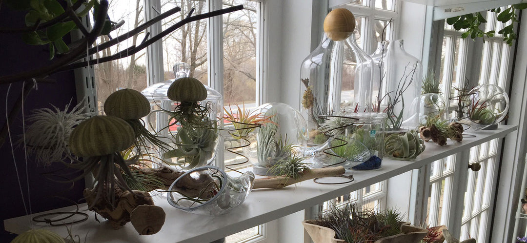 The Store Is Open for the Season!