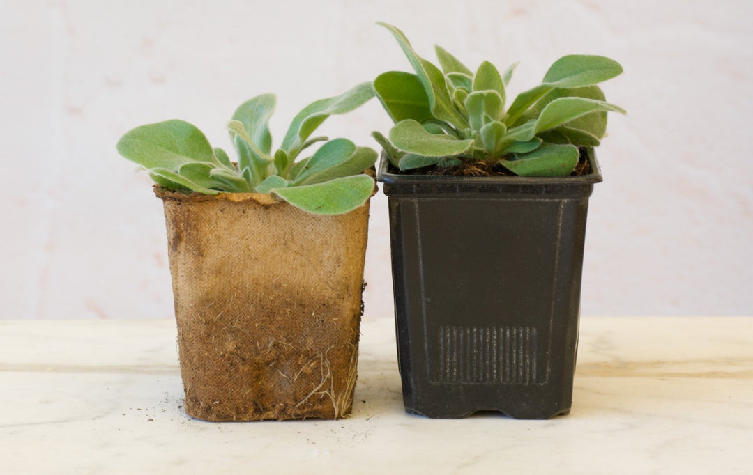 Help Us Trial the Organic Fertilpot