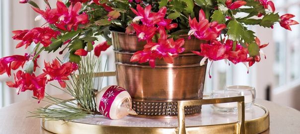 Favorite Holiday Decorations & Gifts Selected By Our Staff