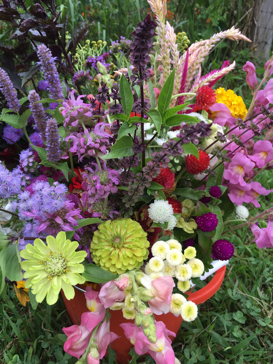 Field Tips for Harvesting Cut Flowers