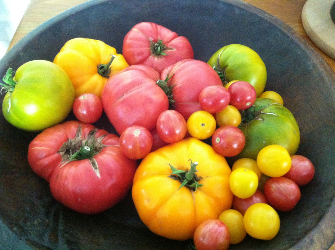 What Are You Going To Do With All Those Tomatoes?