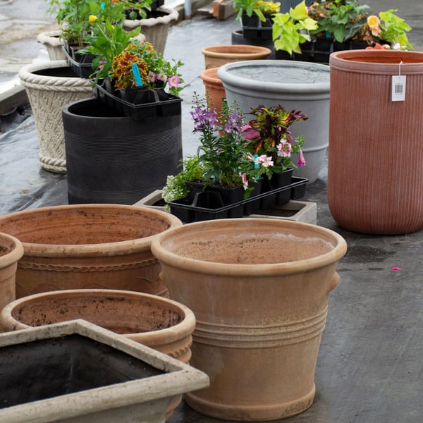 10 Tips for Creating Successful Patio Pot Combinations