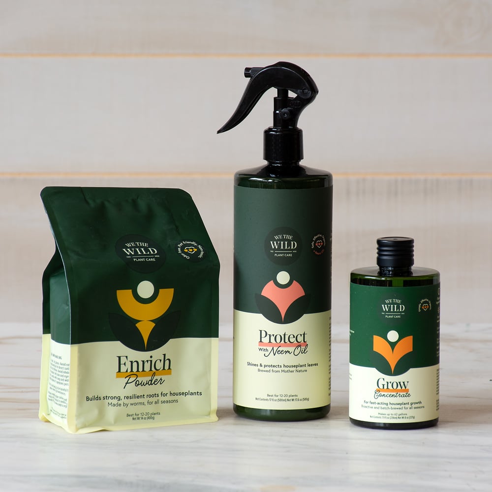 Supplies for Indoor Plants