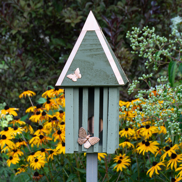Backyard Habitat