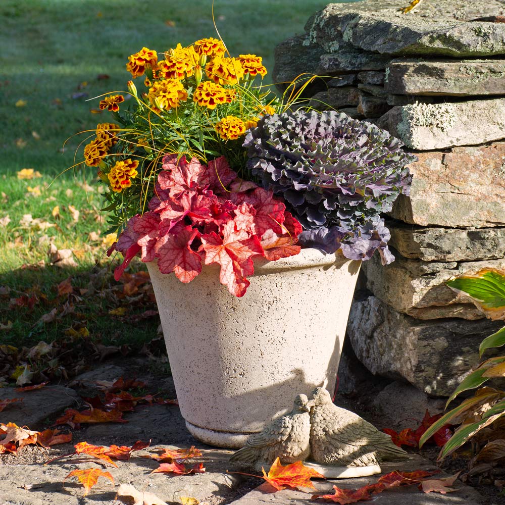 Fall Container Gardens